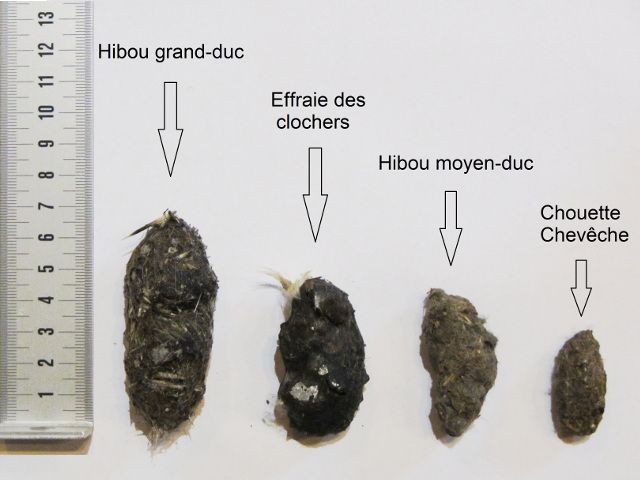<center>&copy; Romain Lahaye</center>