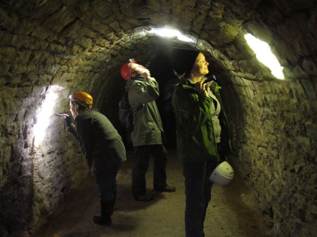 <center>&copy; Soci&eacute;t&eacute; d'histoire naturelle d'Autun</center>