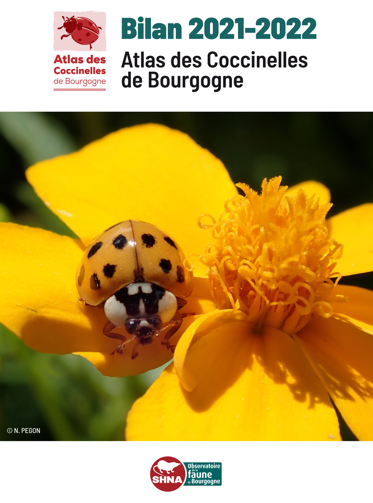 Atlas des Coccinelles de Bourgogne &middot; Bilan 2021-2022