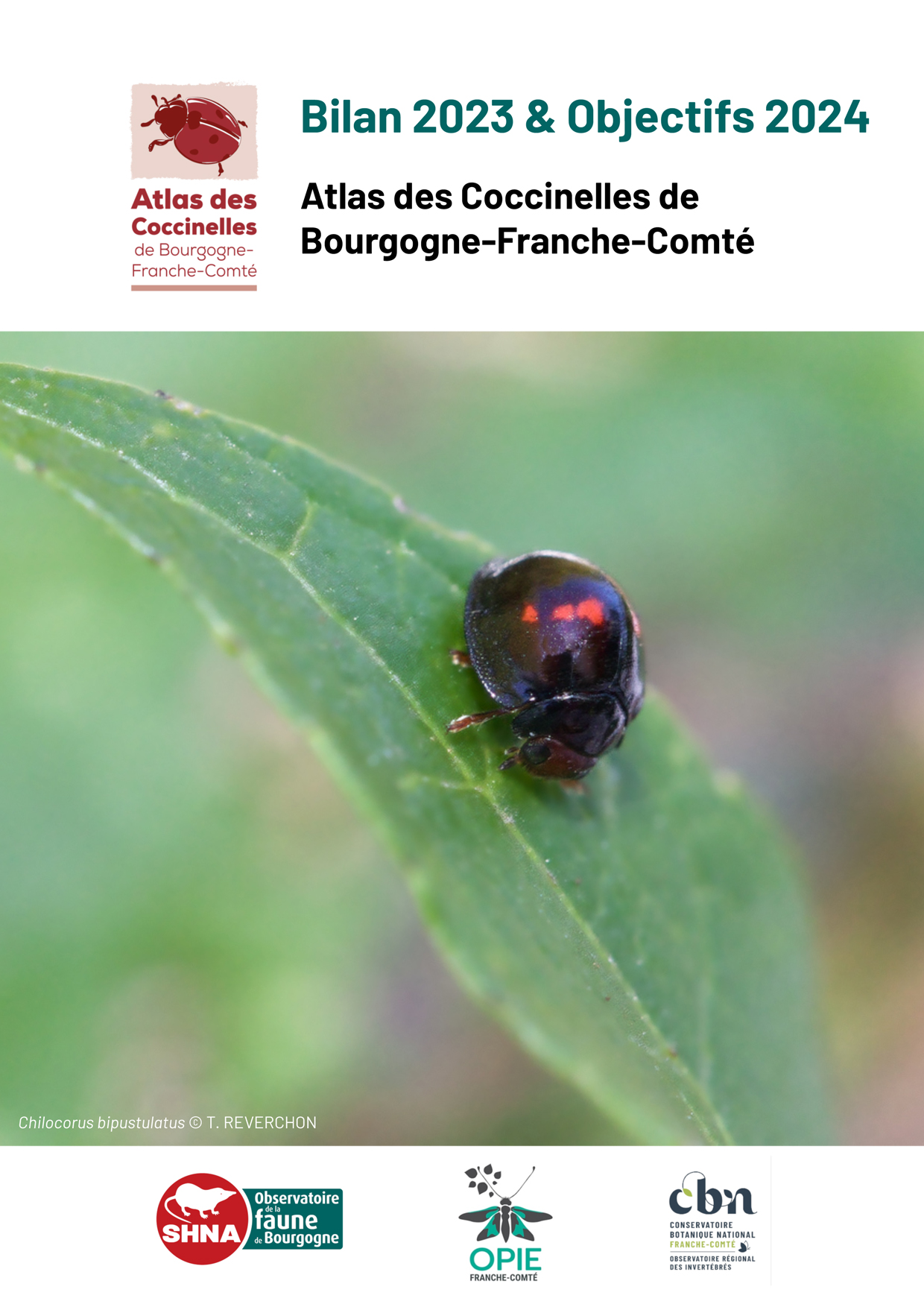 Atlas des Coccinelles de Bourgogne &middot; Bilan 2023 & objectifs 2024