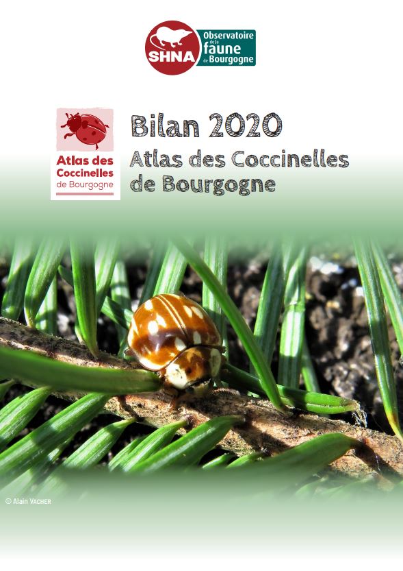Atlas des Coccinelles de Bourgogne &middot; Bilan 2020