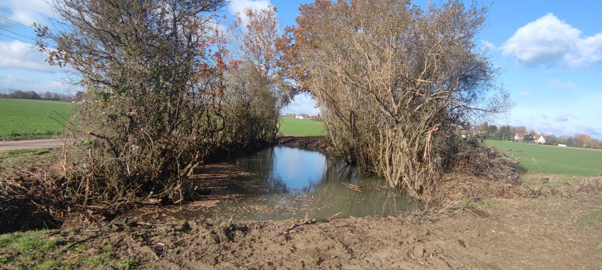 Une mare restaurée sur la commune de Piffonds : curée et mise en lumière | E. GARCIA · SHNA-OFAB