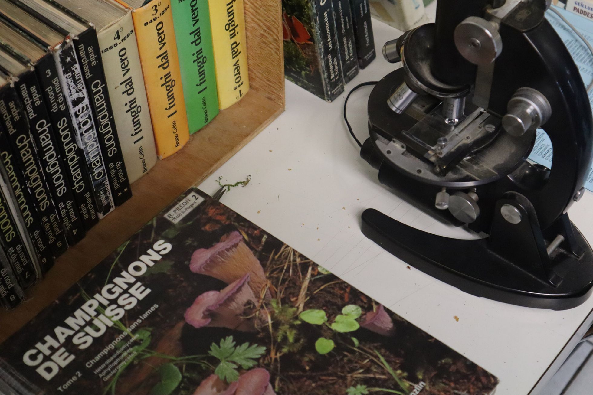 © Guillaume Léchenet