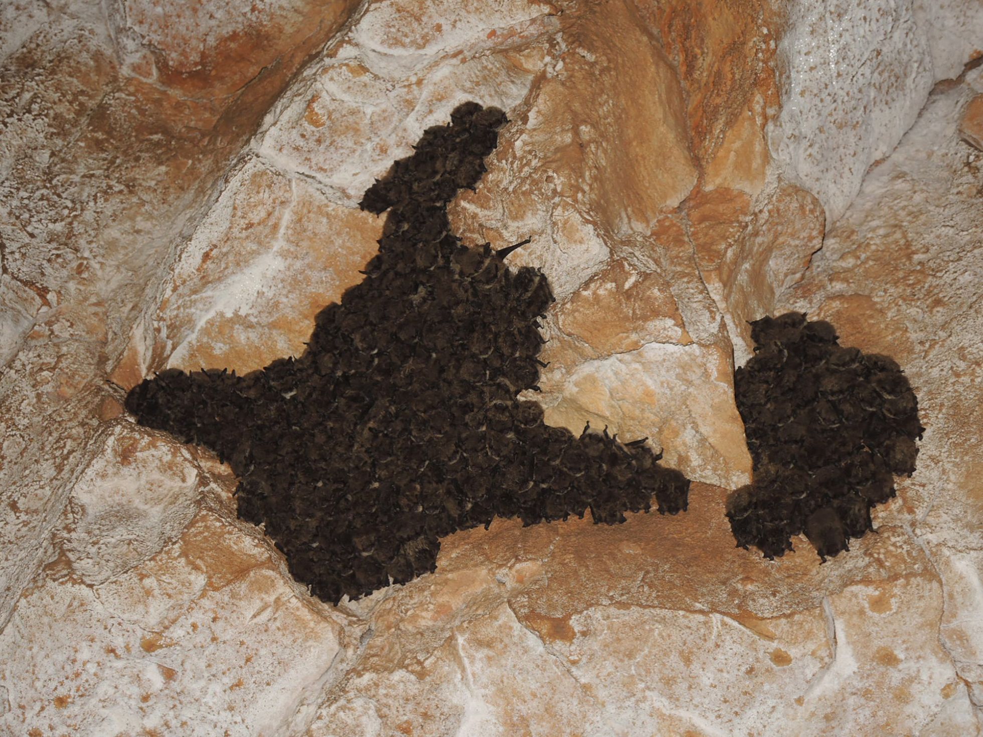 © Alexandre Cartier SHNA-OFAB