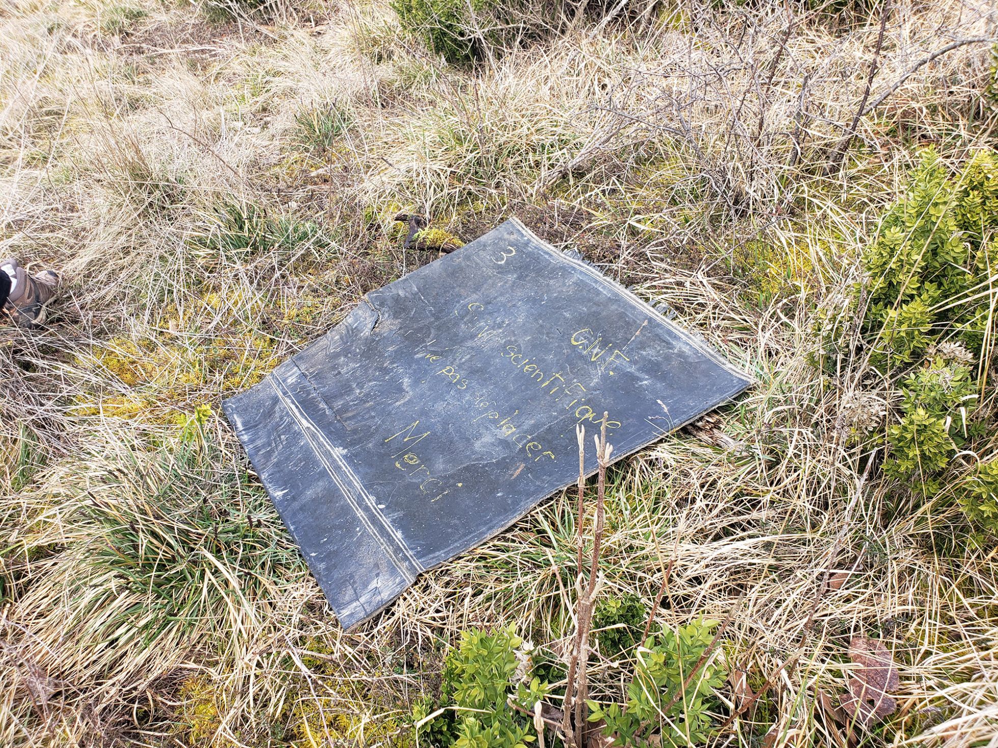 © Mathilde Poissenot