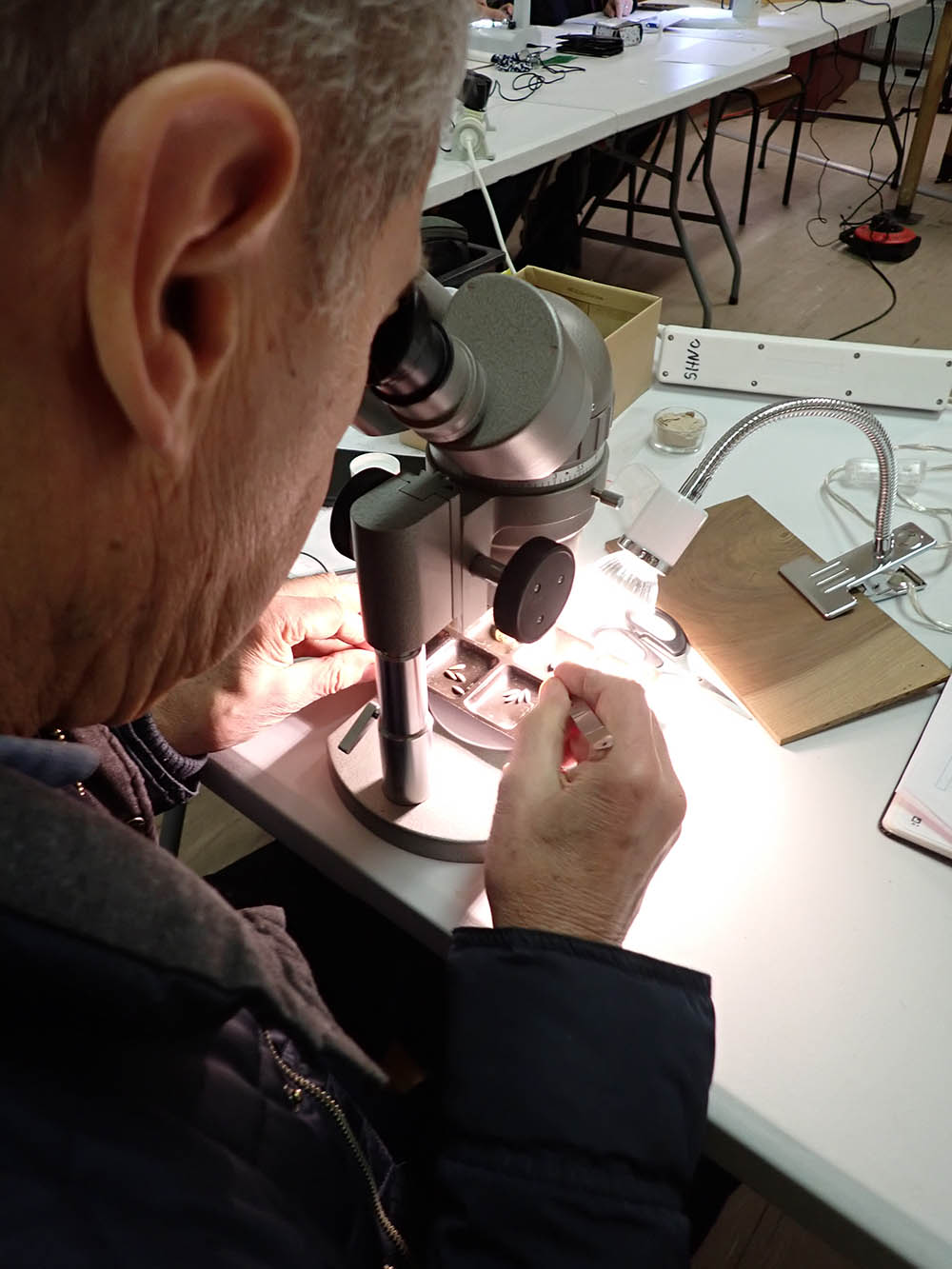 © Magdalena Brugger SHNA-OFAB