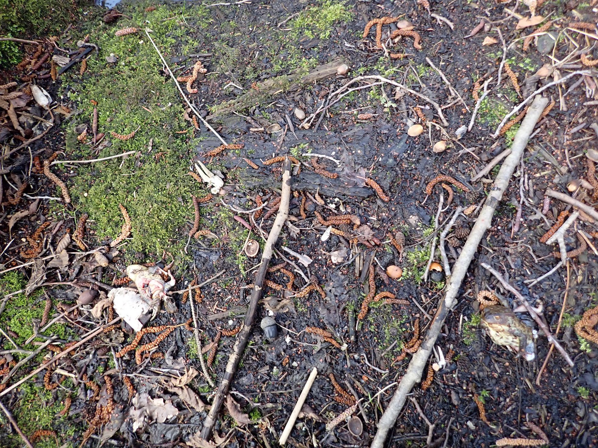 © Lisa Leprêtre SHNA-OFAB