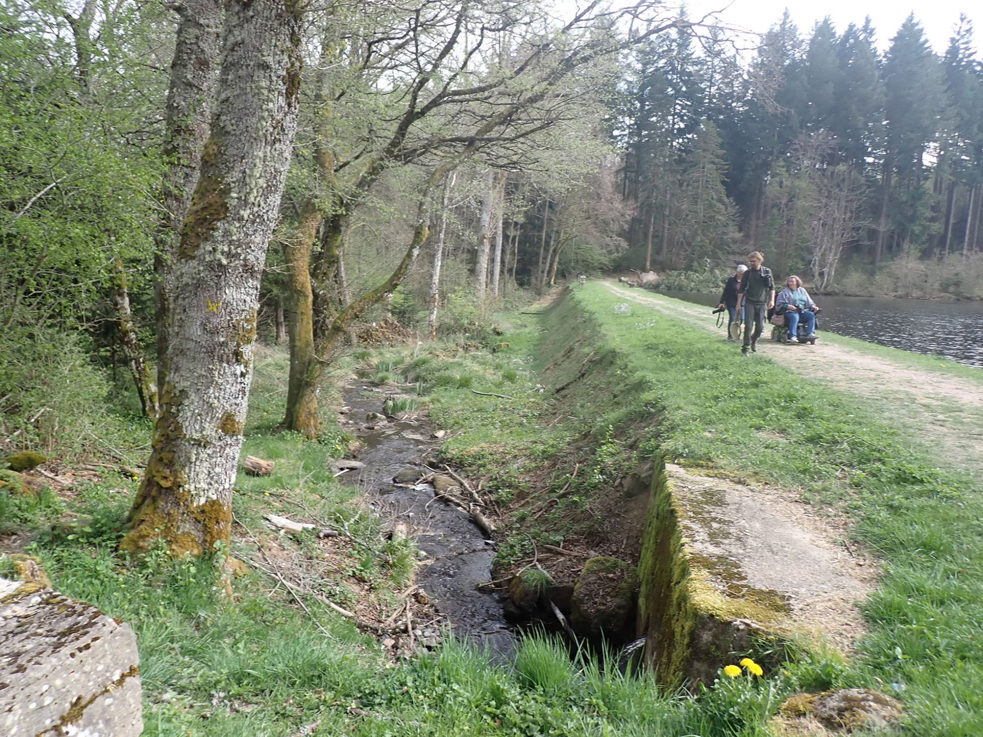 © Marie-Françoise Firmin