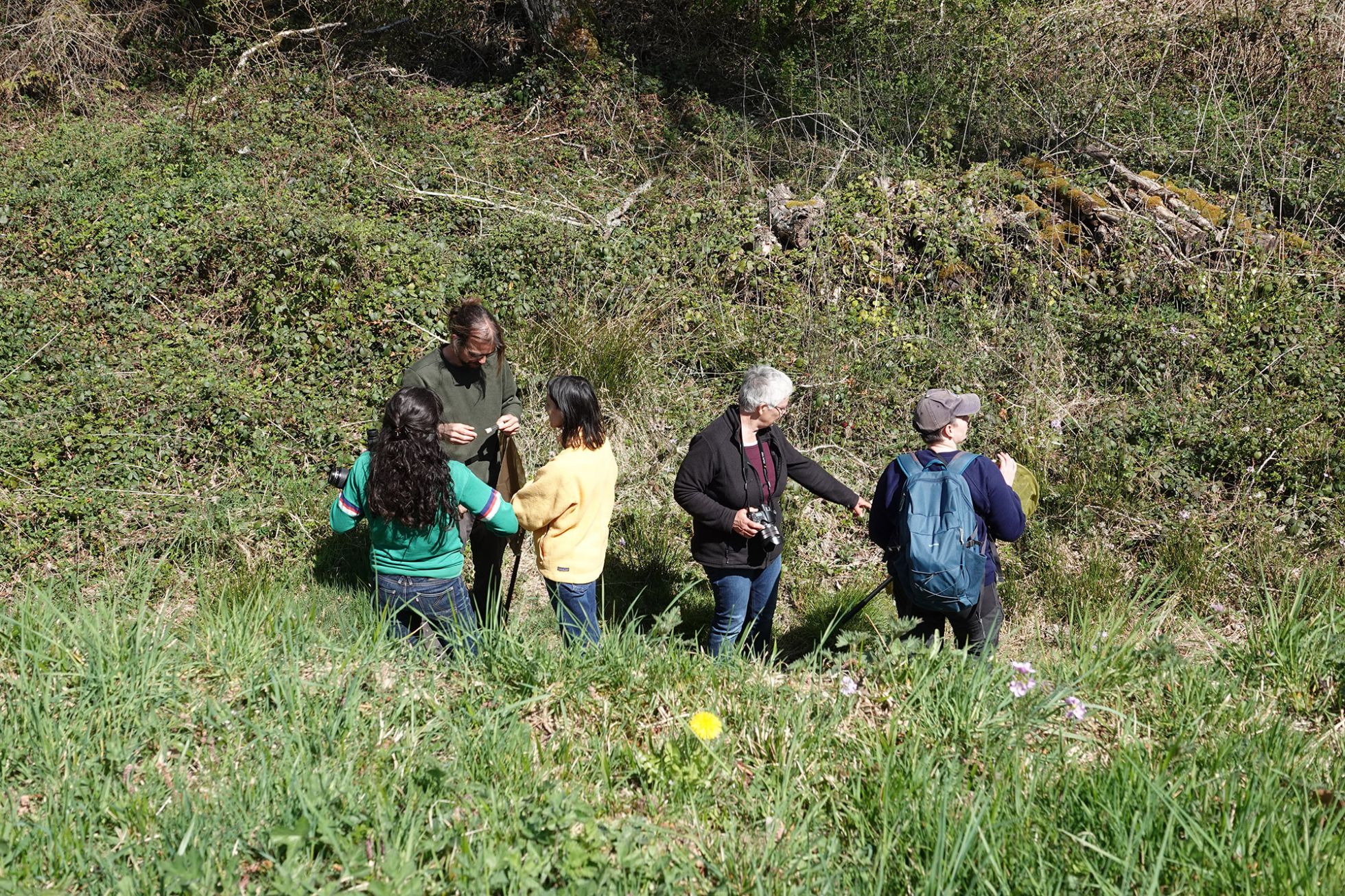 © Marie-Françoise Firmin