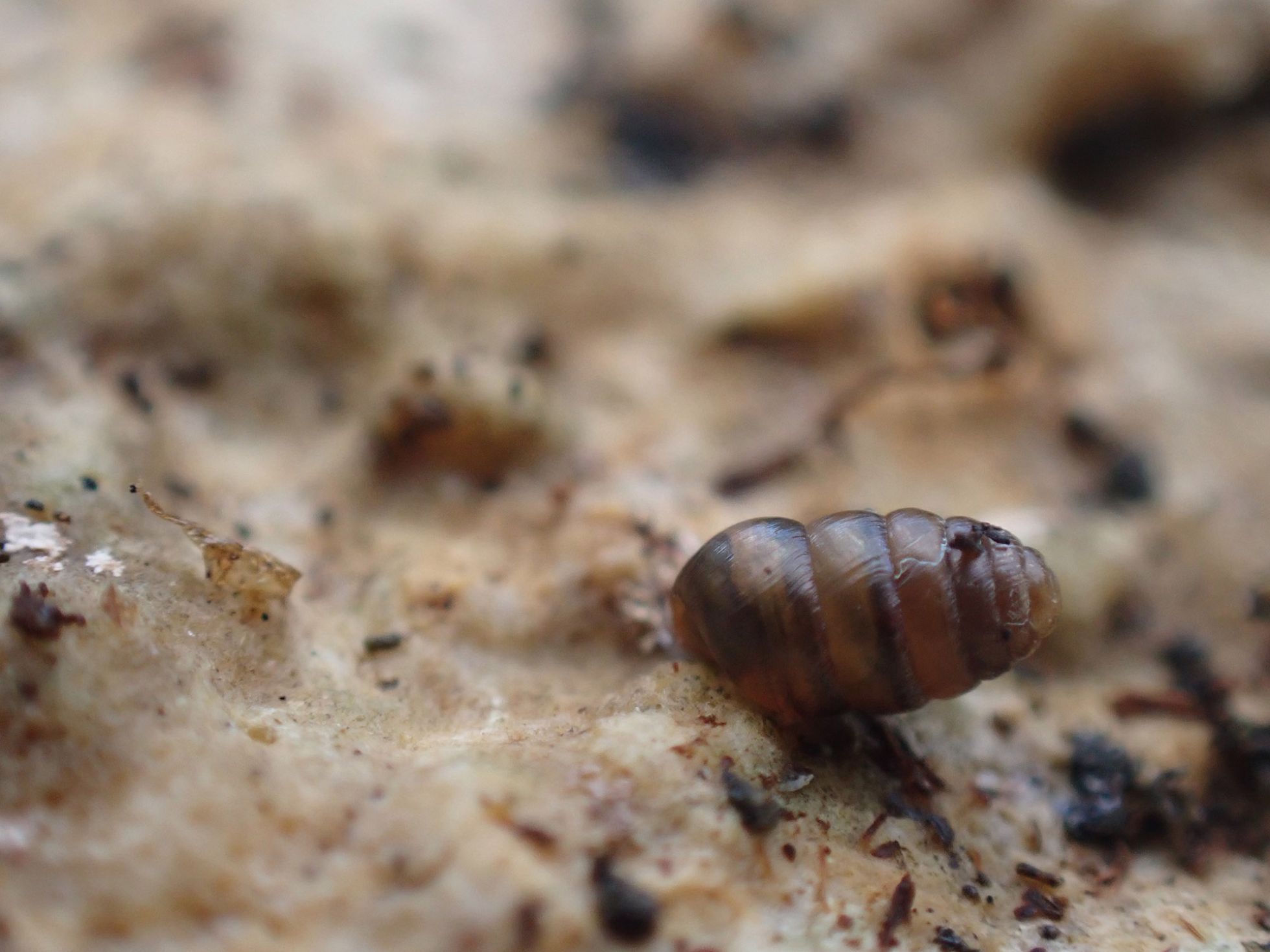 © Magdalena Brugger SHNA-OFAB