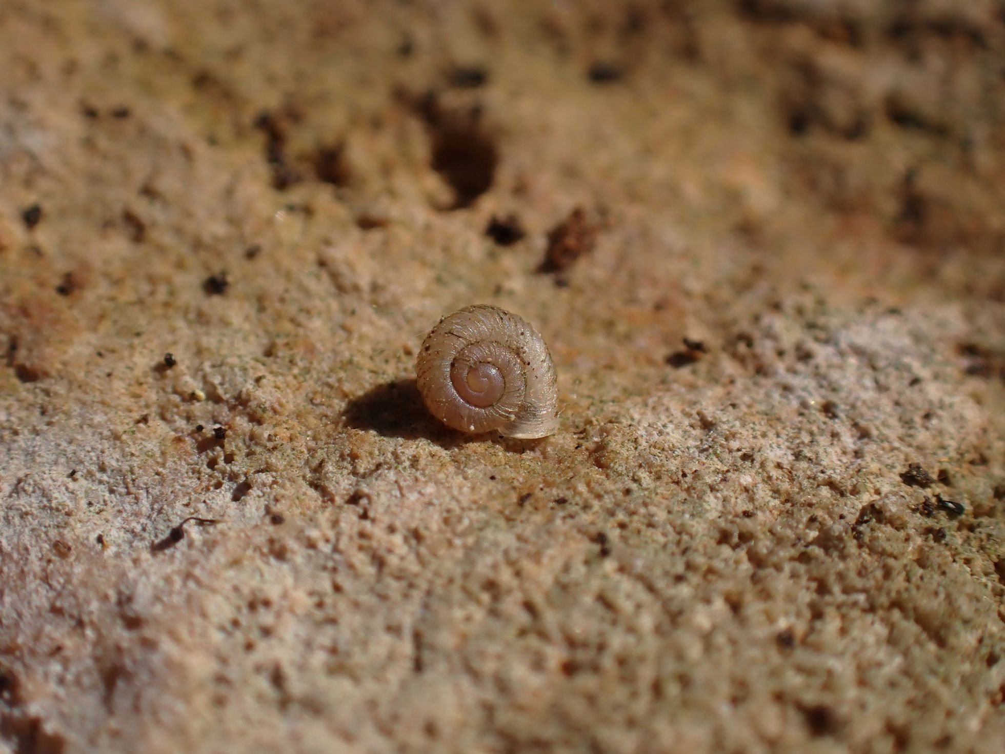 © Magdalena Brugger SHNA-OFAB