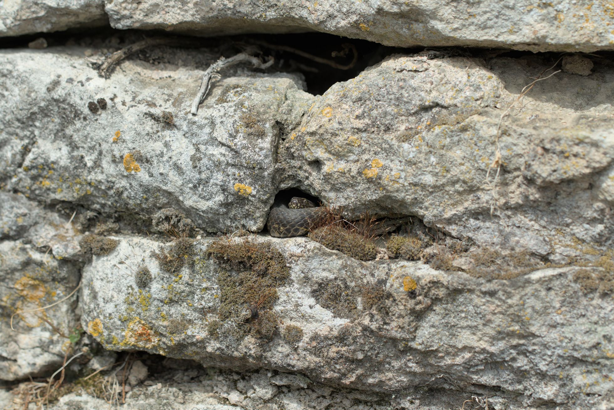 © Jérémy Lefèvre