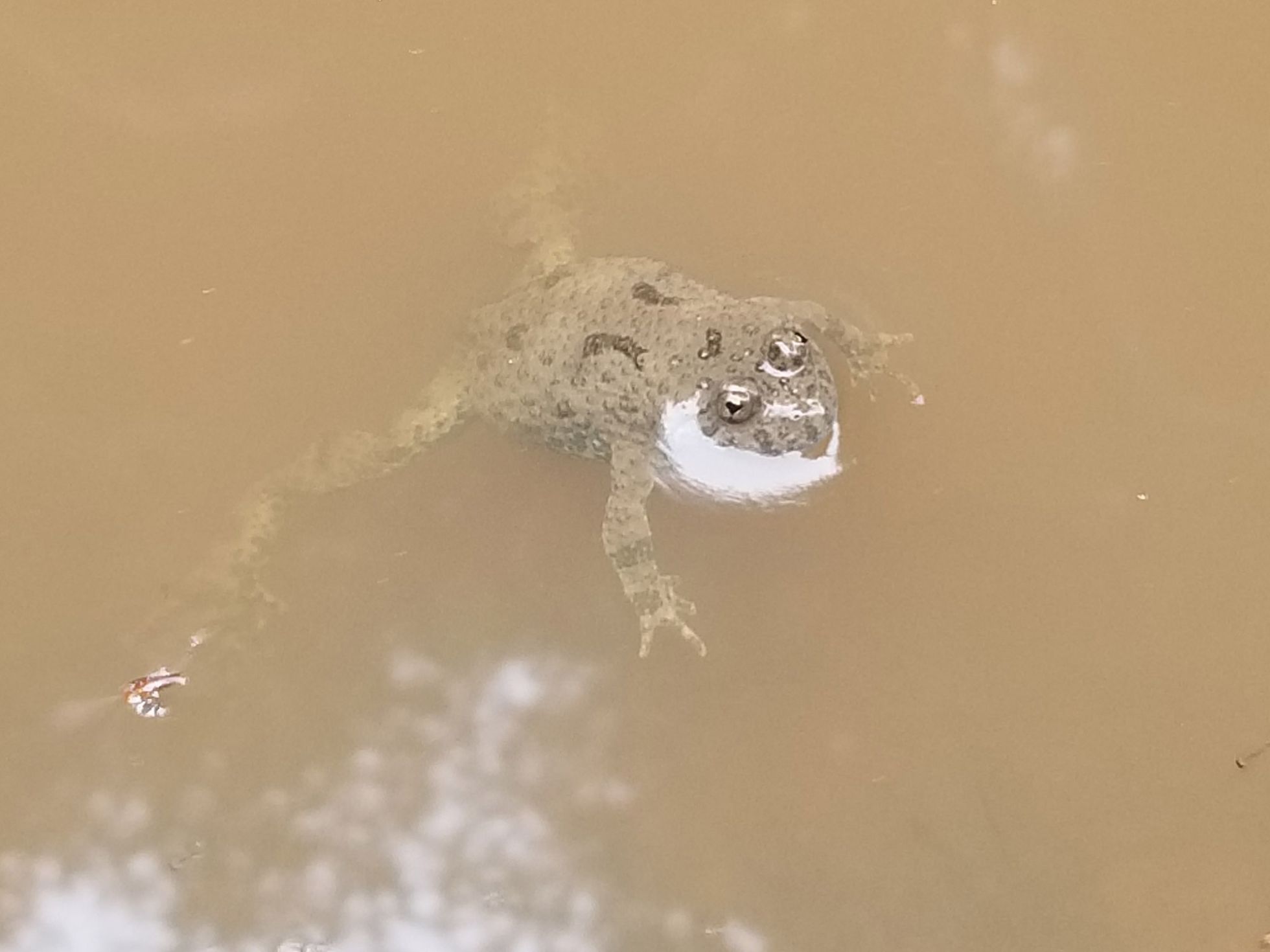 © Charline Leleux SHNA-OFAB