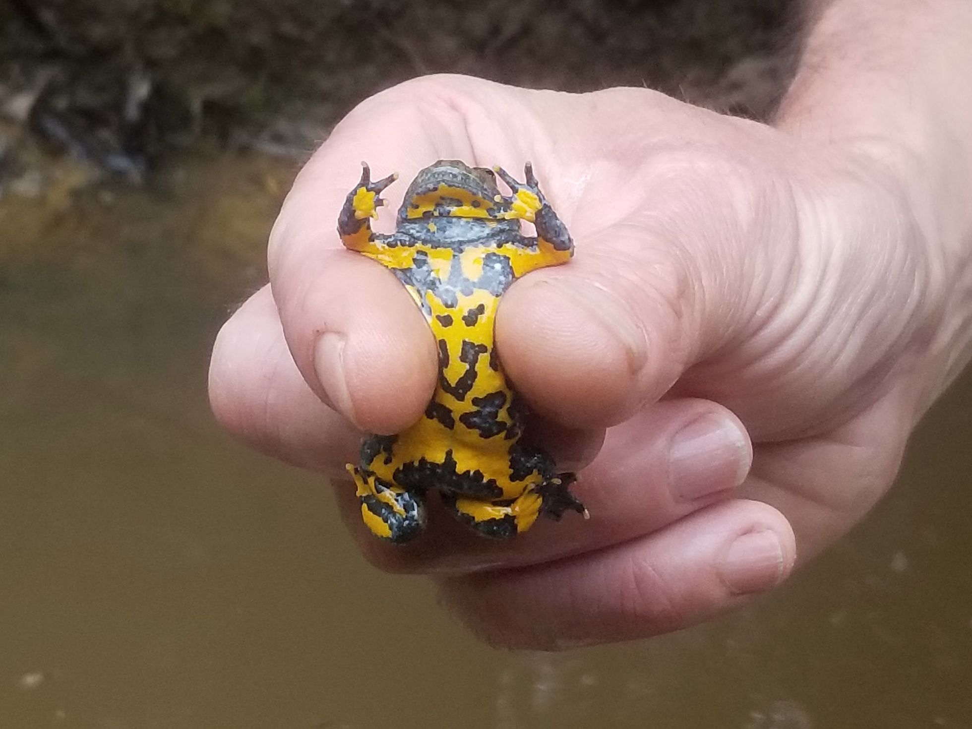 © Charline Leleux SHNA-OFAB