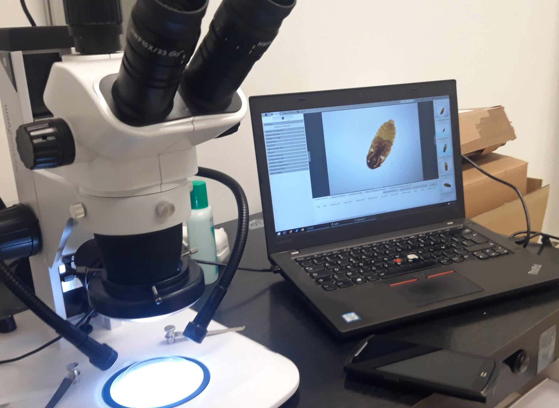 © Mathurin Carnet SHNA-OFAB