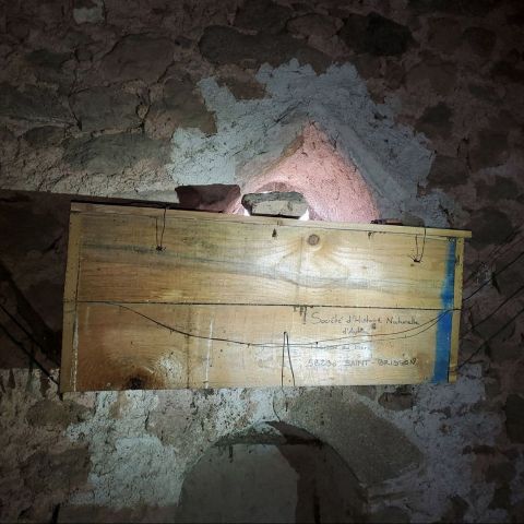 Nichoir de Chouette effraie @Cécile Detroit SHNA