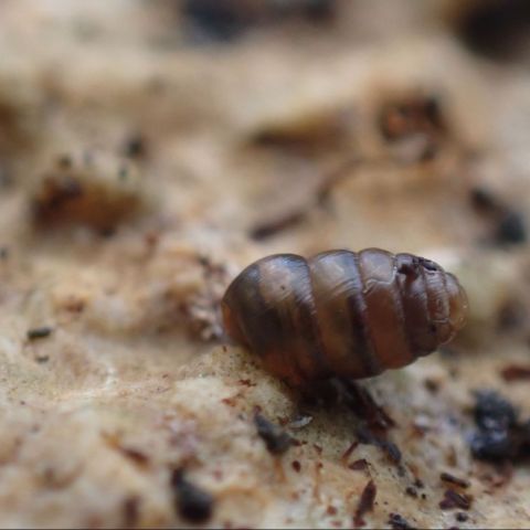  @© Magdalena Brugger SHNA-OFAB