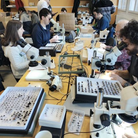  @© Magdalena Brugger SHNA-OFAB