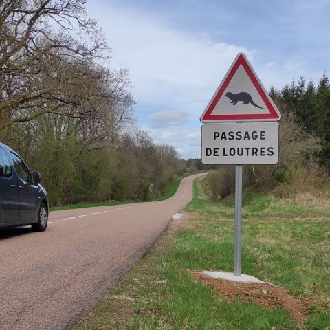  @Léchenet Guillaume