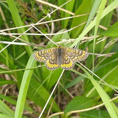  @© Vincent Vilcot SHNA-OFAB