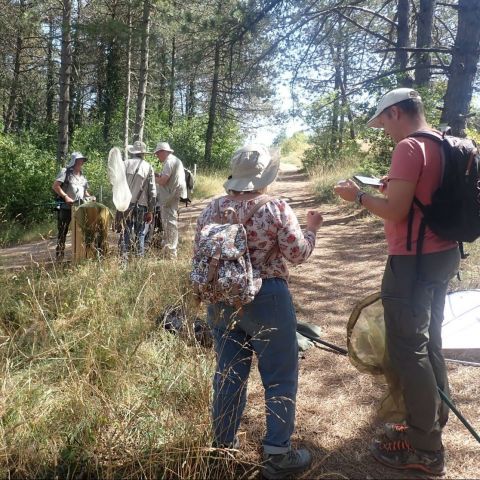  @Quentin Barbotte SHNA-OFAB