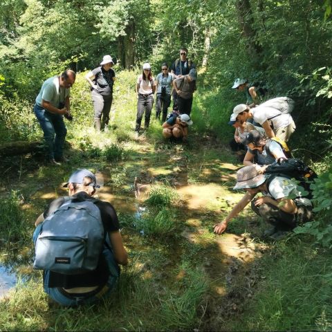  @© Vincent Vilcot SHNA-OFAB