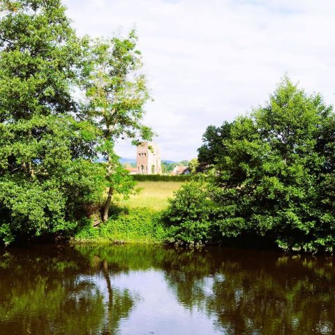  @Muséum d'histoire naturelle d'Autun